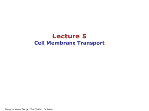 05-MembraneTransport..