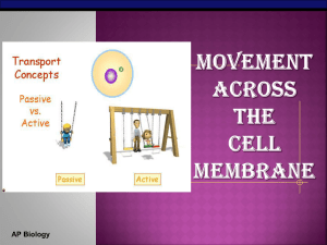 The Cell Membrane - Lucinda SUPERNavagE