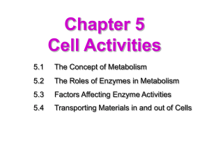 Cell Activities