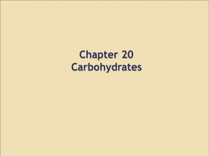 Chapter 20 Carbohydrates