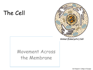 Cell Biology