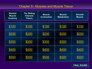 Skeletal Muscle Anatomy The Sliding Filament Theory Muscle