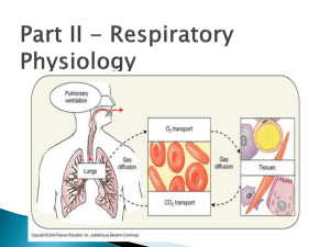 Respiratory system part II
