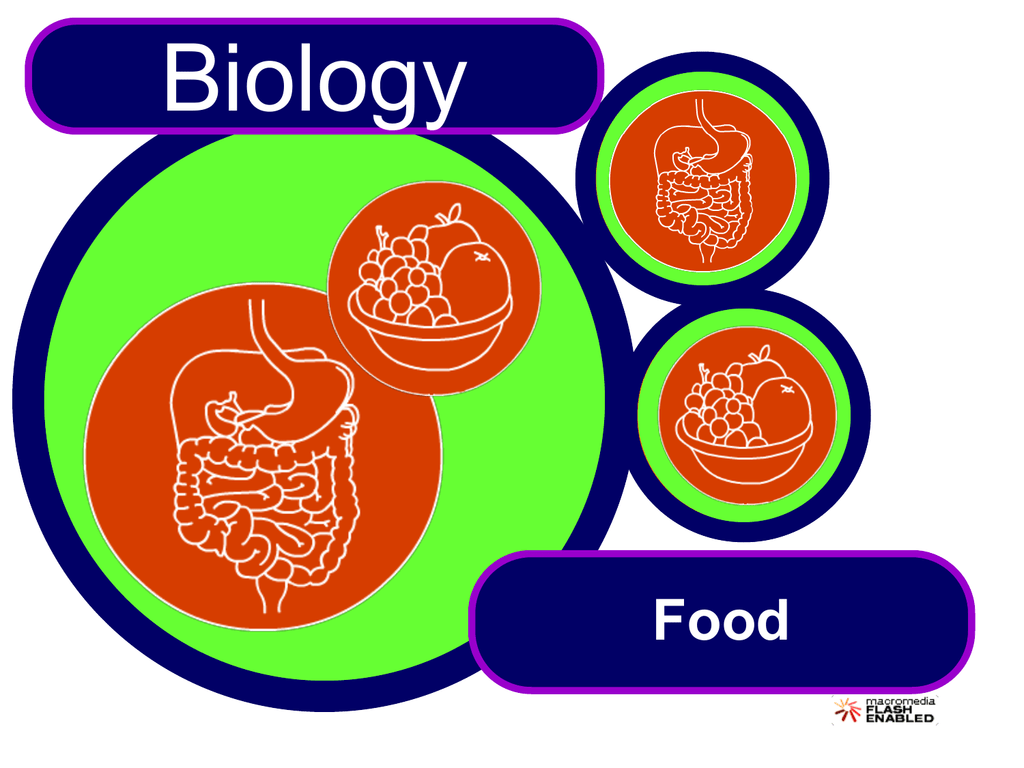 Name three food. Biology Theme. Element_KS. In which elements can strach be Split up Biology. Learn biology