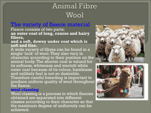 Animal Fibre Wool - TexTile Come