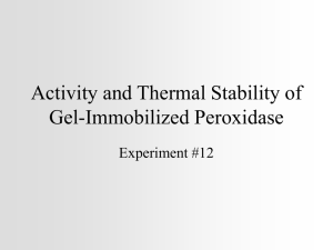 Immobilized Enzyme