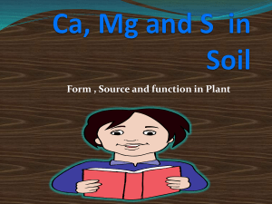 Ca, Mg and S in Soil