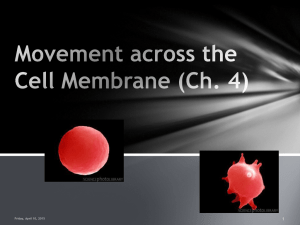 4. Movement across the Cell Membrane