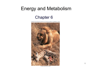 Chapter 6 - IRSC Biology Department