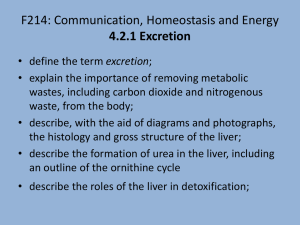 F214: Communication, Homeostasis and Energy