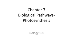 Chapter 7 Biological Pathways