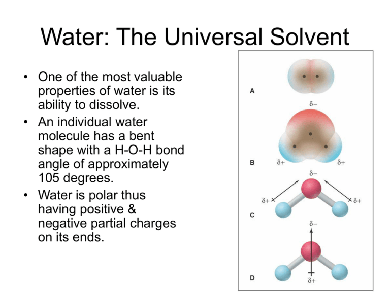 water-the-universal-solvent