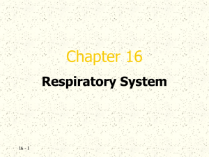 Respiratory PPT