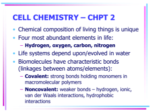 hydrogen bonds