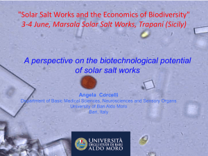 4 Corcelli Angela - Biotechnological Potential of Solar Salt
