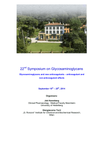 Program 22th Symposium