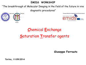 Giuseppe Ferrauto - University of Torino, practical session