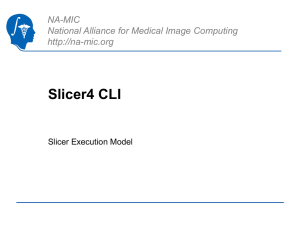 CLI Module - National Alliance for Medical Image Computing