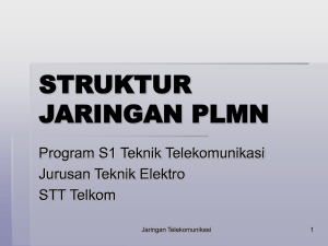 Struktur PLMN