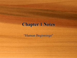 Chapter 1 Notes