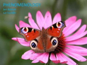Ways of Knowing Phenomenology Powerpoint