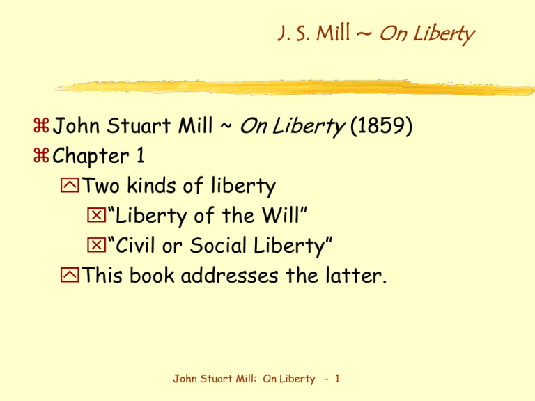 mill on liberty essay