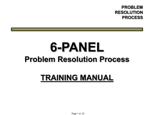 6-PANEL Problem Resolution Process