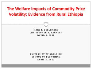 The Welfare Impacts of Commodity Price Volatility: Evidence from