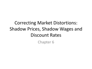 SHadow Prices, .... Discount Rates in ppt (Townley Chap 6)