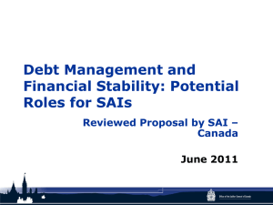 Debt Management Practices and Financial Stability