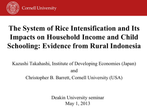 The System of Rice Intensification and Its