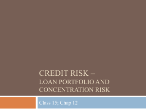 Loan Portfolio Credit Risk