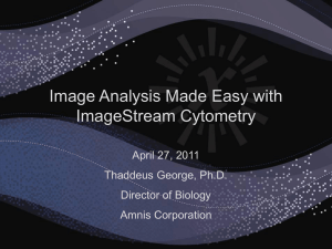 Image Analysis Made Easy (PPT Presentation)