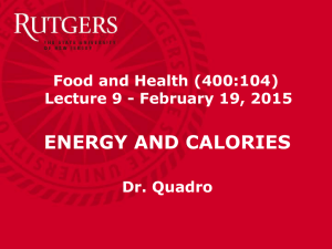 Energy, Calories and Dietary Guidelines