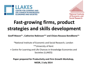 Fast-growing firms, product strategies and skills development