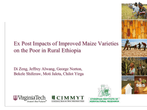 Poverty impact under Homogeneity Poverty impact