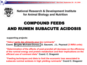Compound Feed and Rumen Acidosis