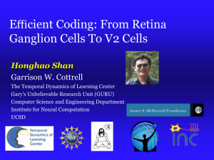 Efficient Coding: From Retina Ganglion Cells To V2 Cells