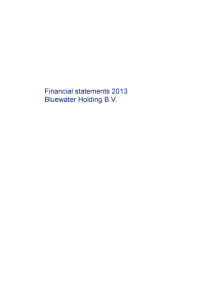 Financial statements 2013 Bluewater Holding B.V.
