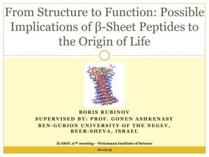 From structure to function: possible Implications of beta-sheet