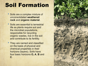 Soil Formation - Warta MHS Science