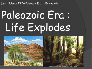 Earth Science 13.2 Paleozoic Era : Life explodes