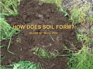 How does soil form