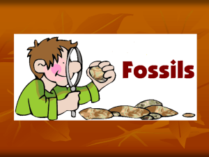 Kinds of Fossils