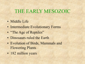 THE MESOZOIC
