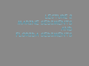 Chapter 4: Marine sediments