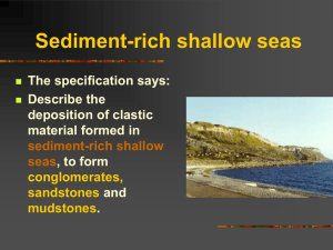 Sediment-rich shallow seas