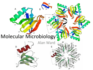 Molecular Microbiology - Newcastle University Staff Publishing