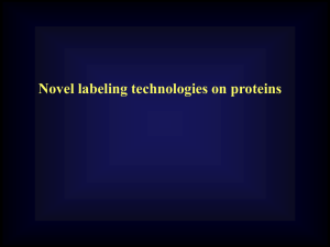 Protein array