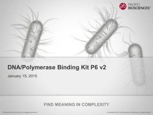 DNA/Polymerase Binding Kit P6 v2